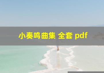 小奏鸣曲集 全套 pdf